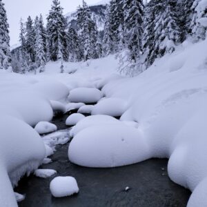 Мамай - Сибирская Лапландия