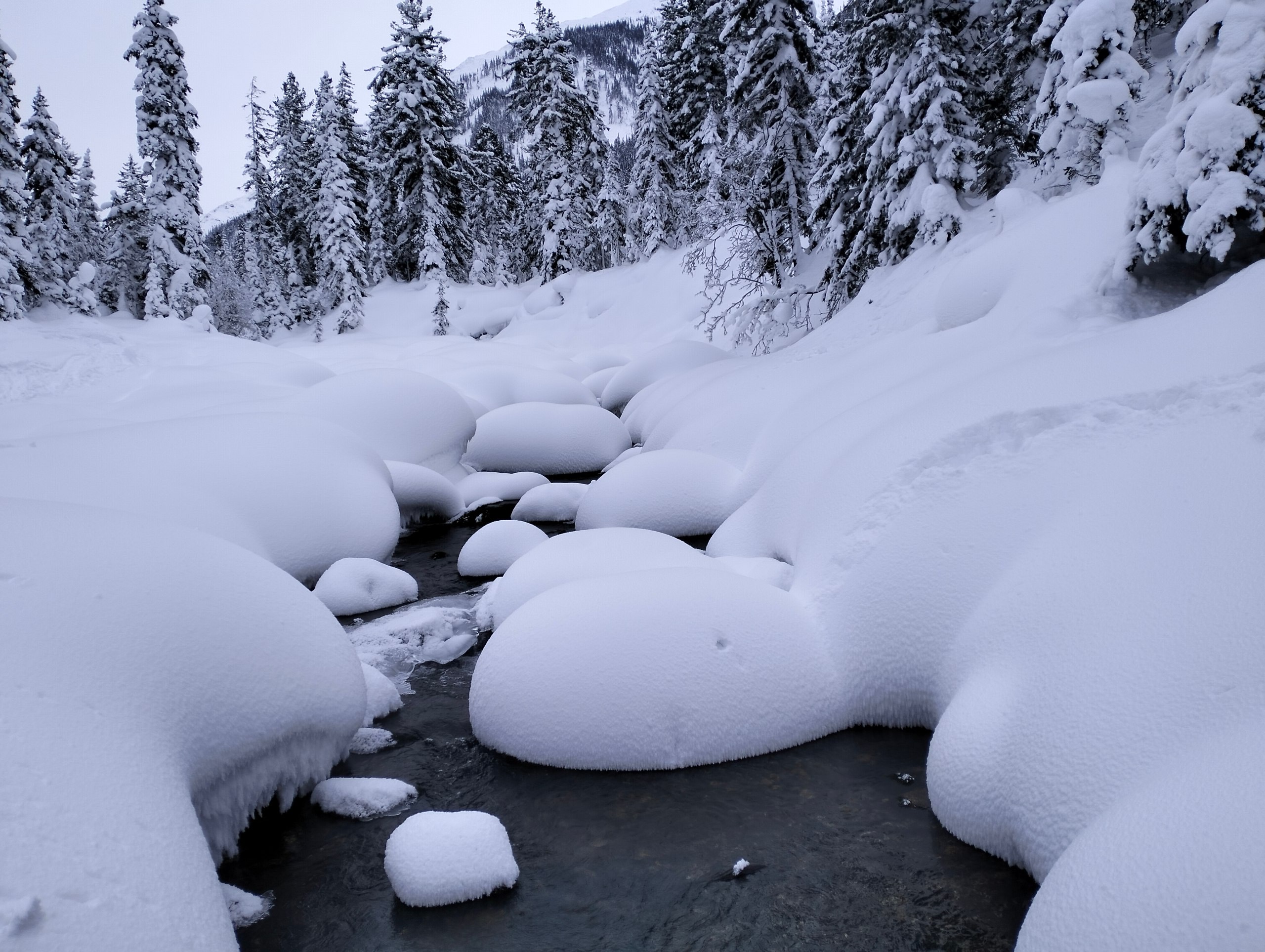 Мамай - Сибирская Лапландия Мамай - Сибирская Лапландия