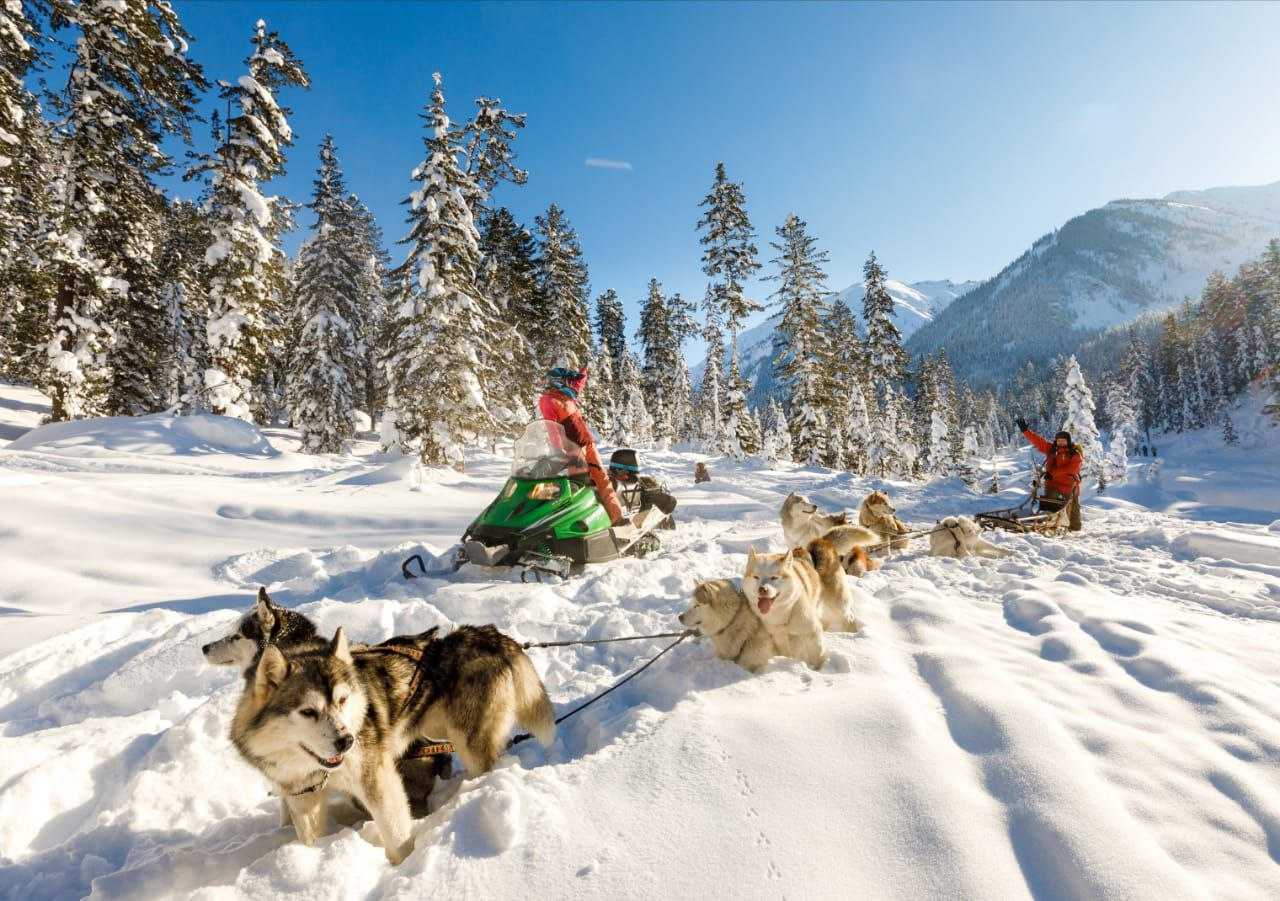 Мамай - Сибирская Лапландия Мамай - Сибирская Лапландия